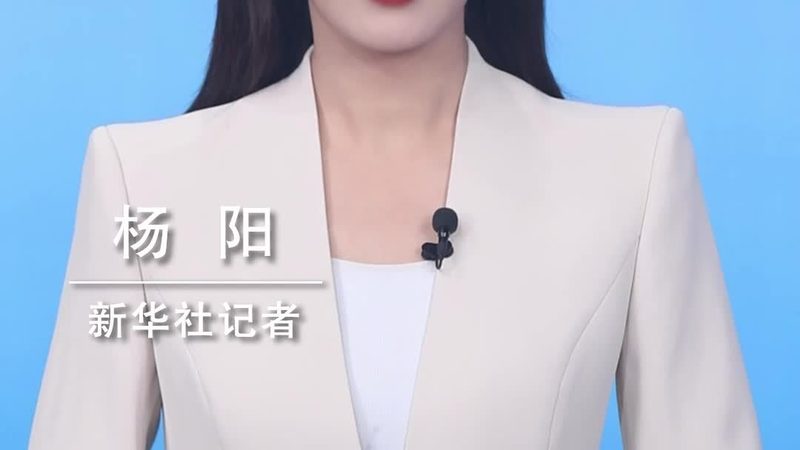 企业供应链的智能引擎：定制化供应链管理软件的价值**
